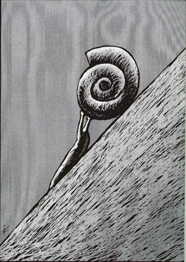 Selçuk Demirel demirel_01