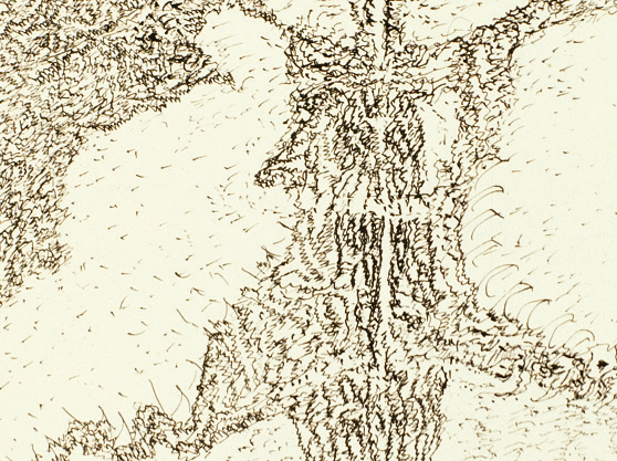 Henri Michaux, Arborescences intérieures (circa 1962-1964)