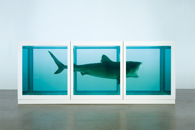 Damien Hirst - The Physical Impossibility of Death in the Mind of Someone Living (1991)