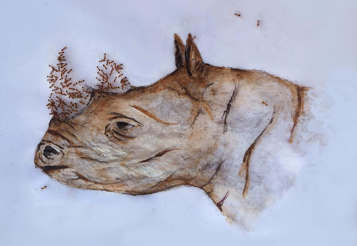 Francesca Santucci | Le formiche le&nbsp;formiche