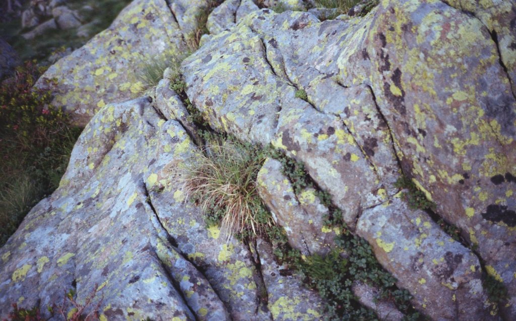 Daniele Orso – Il miele del&nbsp;mondo