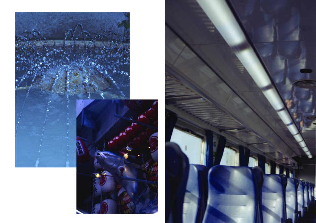 Giulia Cittarelli – L’esplorazione di una distanza. Su Trasparenza di Maria&nbsp;Borio