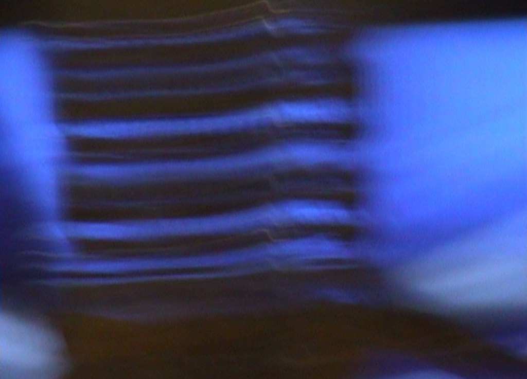 La regola dell’irregolare. La lingua perturbante di Franco Scataglini – Valerio Cuccaroni