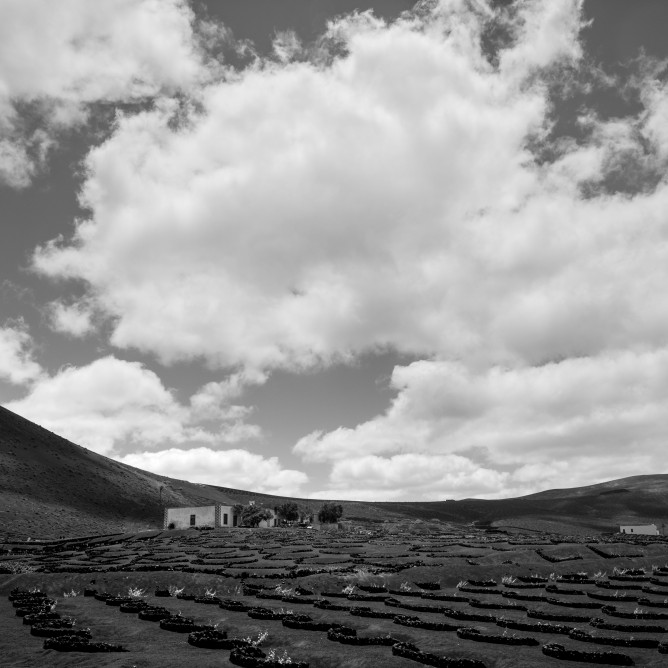 Faslli Haliti – da “Sot” (“Oggi”), 1969 (trad. di Arjeta&nbsp;Vucaj)