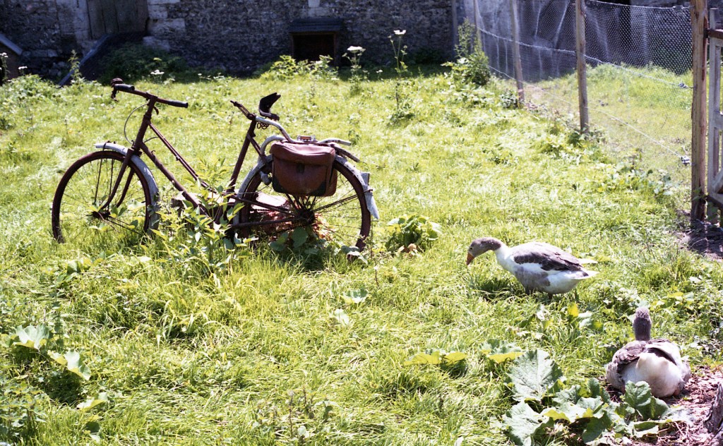 ALLEGORISMI NOVECENTESCHI – FRANCESCO&nbsp;MUZZIOLI