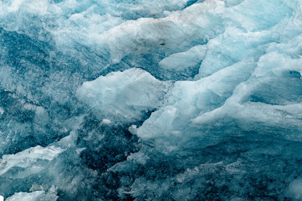 Philippe Beck – «Introduzione alla Pantera» pARTE&nbsp;1