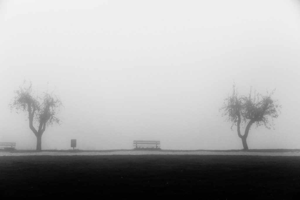 Anteprima da Curênt – Davide&nbsp;Romagnoli