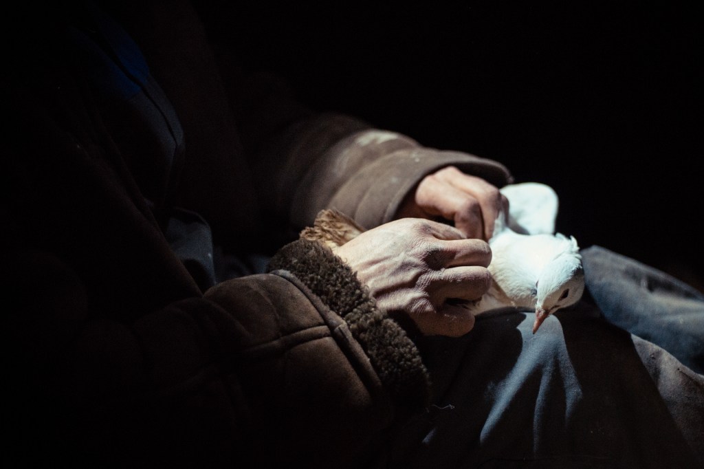 Franca Mancinelli: L’invisibile a fronte – Marina Emilie Macharis traduce John&nbsp;Taylor