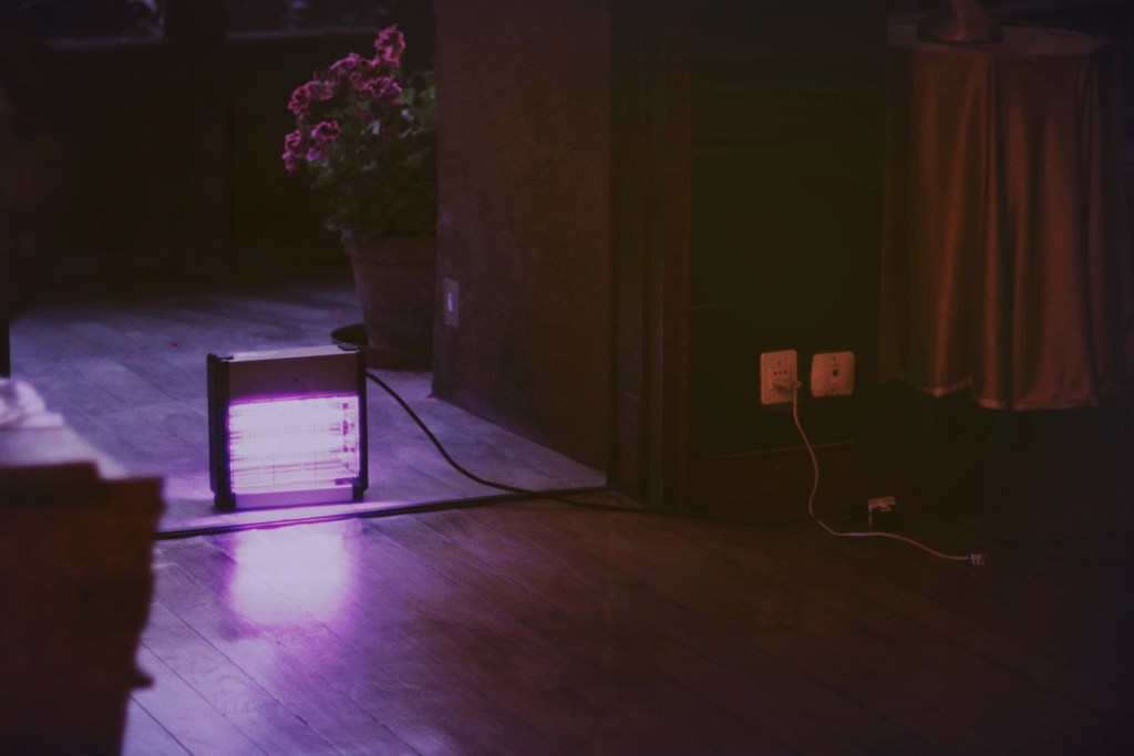 Eugenio De Signoribus – Ceneri germogli ceneri. Poesie&nbsp;1976-2024