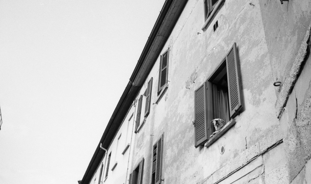 Dario Gattiglia traduce Kingsley Amis – Questioni&nbsp;morali