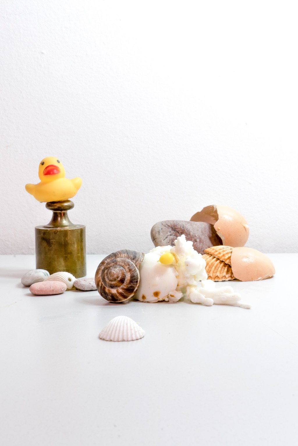 Adília Lopes, acqua allo stato gassoso – traduzioni di Serena&nbsp;Cacchioli