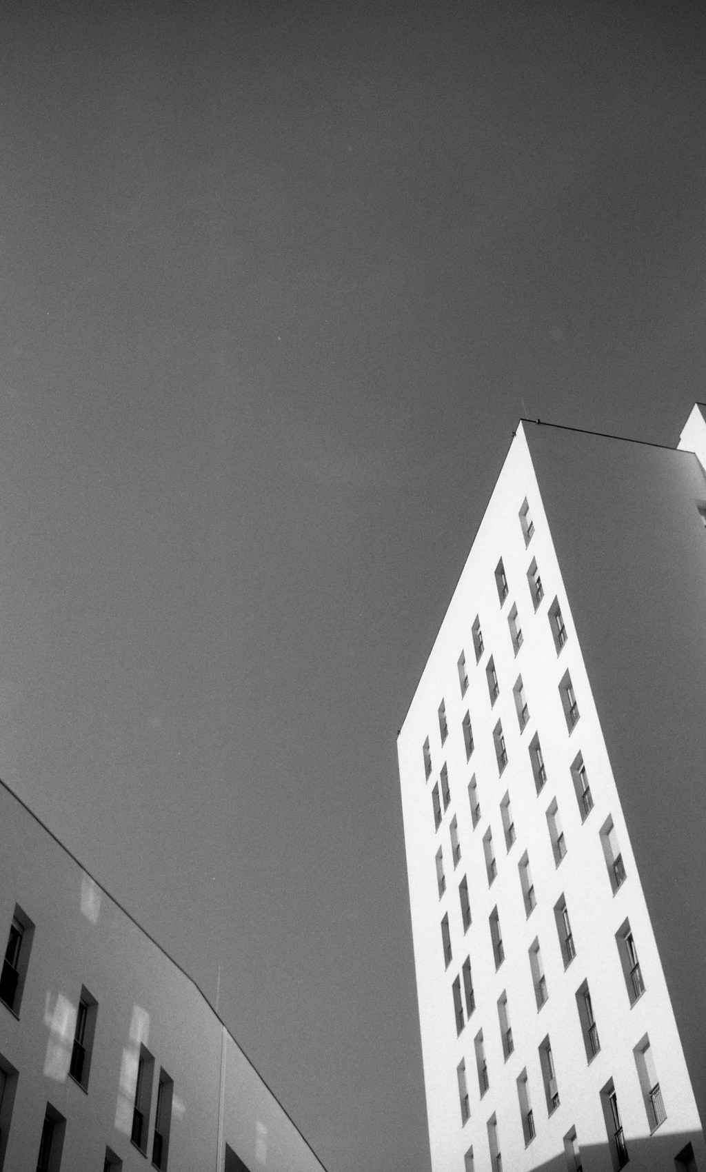 Francesco Ciuffoli – Tremanito