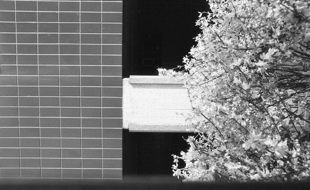 Giorgio Papitto, Inediti