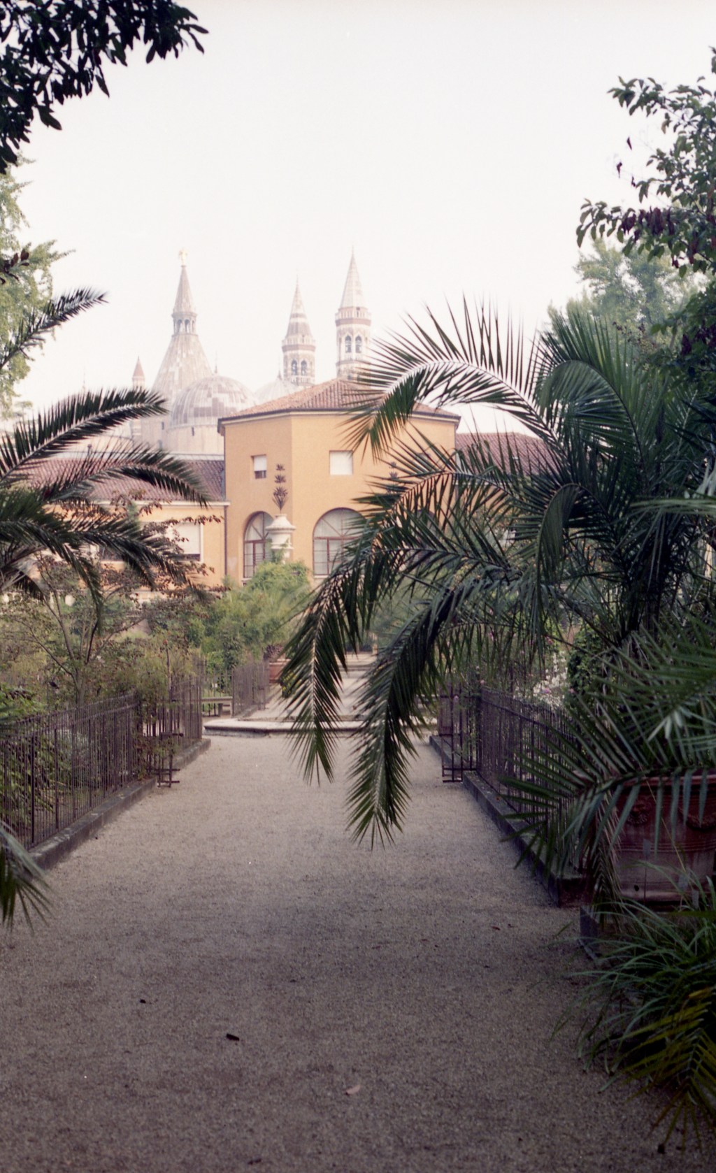 Giorgia Meriggi – All’estuario non ci sono ponti. Sulla traduzione in poesia: Un dialogo con Franca Mancinelli e John Taylor, Prima&nbsp;parte.
