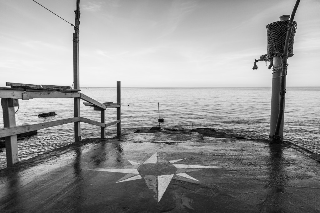 verso metamorfosi: tradurre di notte splendono le navi di Nico Bleutge (2025)