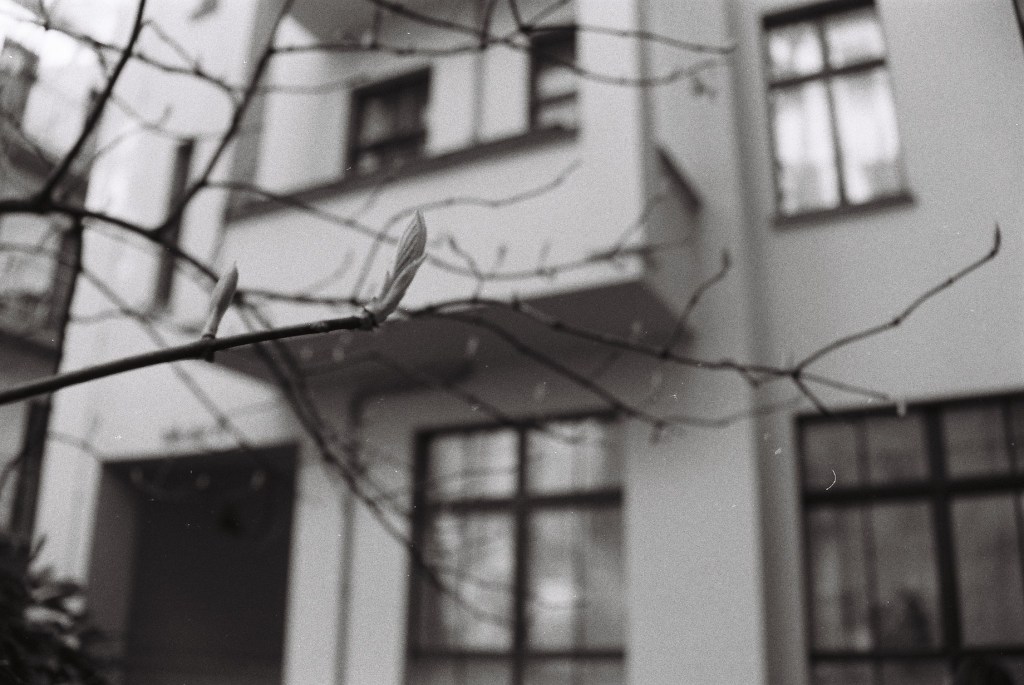 Sacre scritture – 3. Dario Gattiglia traduce Ronald Bottrall, Adam&nbsp;Unparadised