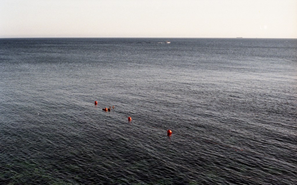 Sacre scritture 4. Resurrezione – Dario Gattiglia traduce Peter Redgrove, Lazarus and the Sea